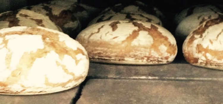Frisches Holzofenbrot wieder am kommenden Wochenende! Frisches Holzofenbrot wieder am kommenden Wochenende!